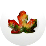 Mottled Maple Leaf