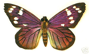 Painted Leather Purple Wing Butterfly
