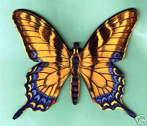 Painted Leather Tiger Swallowtail Butterfly