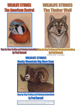 Wildlife Bundle - The Ram, Wolf, and Kestrel Carving Bundle.