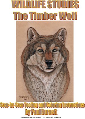 Timber Wolf Tooling and Painting Instructions by Paul Burnett